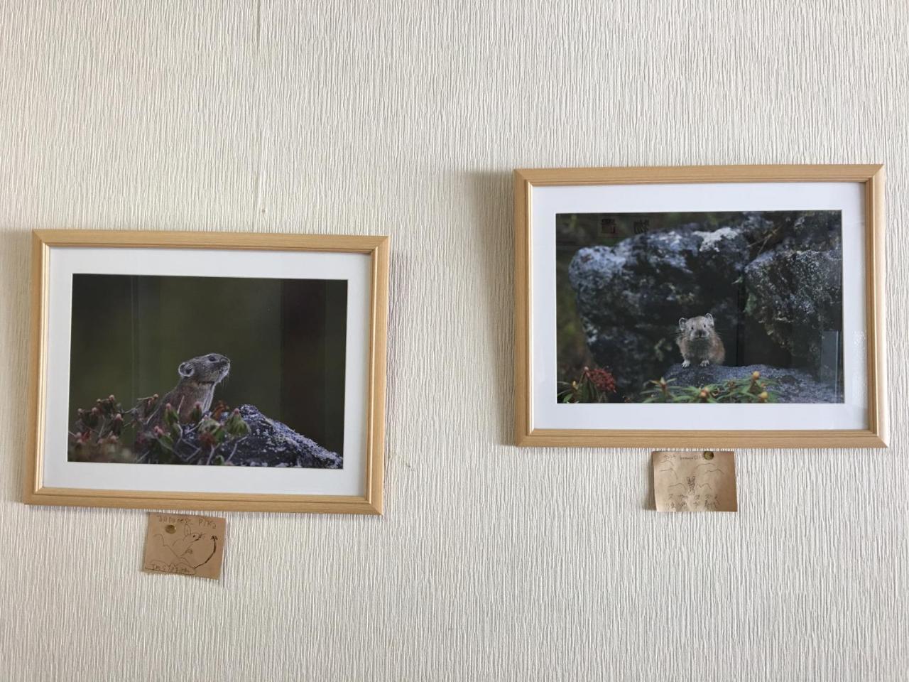 Biei Shirogane No Yu Hotel Bagian luar foto